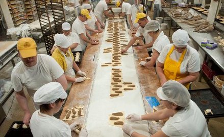 Z badania wynika, że na nowych maszynach, urządzeniach, liniach produkcyjnych zamierzają skupić się 