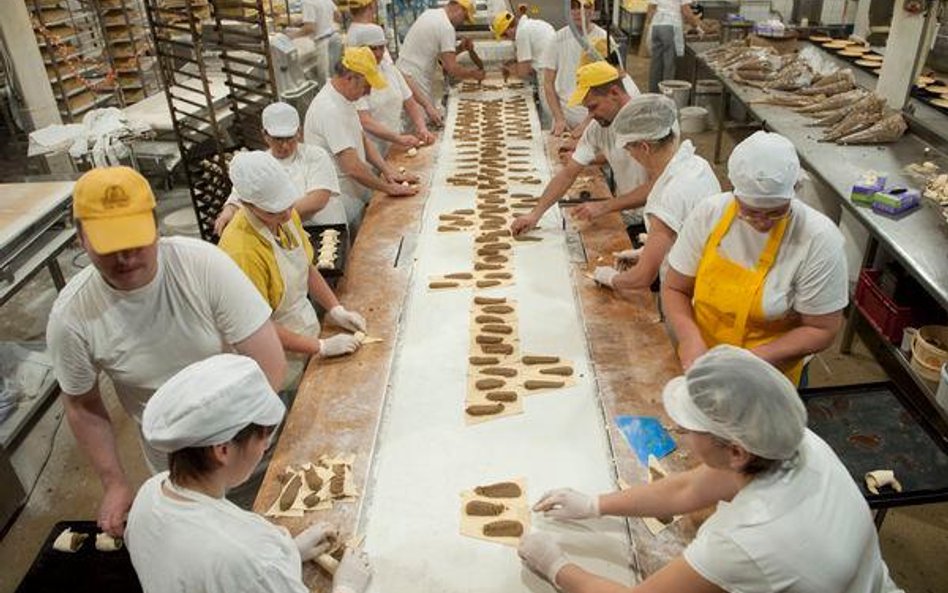 Z badania wynika, że na nowych maszynach, urządzeniach, liniach produkcyjnych zamierzają skupić się 