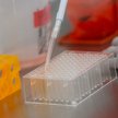 Epidemia w Polsce: Najmniej zakażeń od 20 lipca