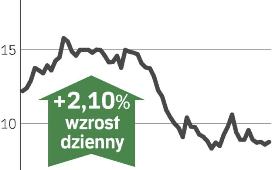 Analitycy prognozują stratę netto