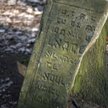 Cmentarz żydowski na warszawskim Bródnie