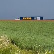 IKEA zainwestuje 200 mln euro w zieloną energię i sadzenie lasów