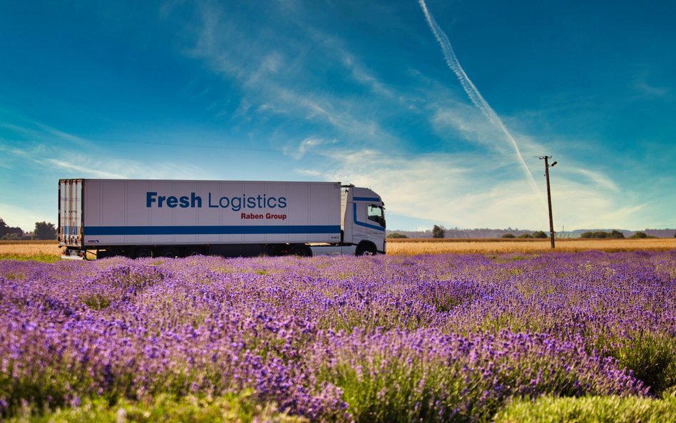 Sałatki mają najlepszy transport