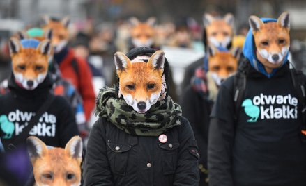 Elektorat może mieć w pewnych sprawach poglądy skrajne, a w innych – umiarkowane