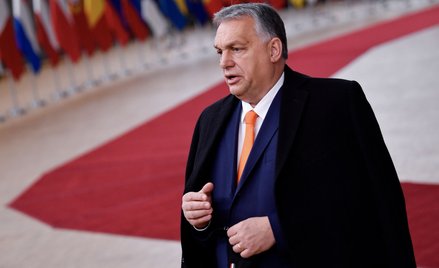 Bogusław Chrabota: Taniec pawia z gamoniem