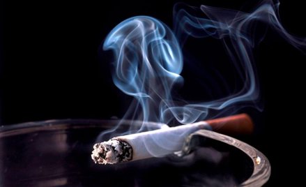 Plantatorzy i KIG popierają skargę na dyrektywę tytoniową