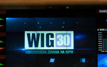Okno hossy ściąga do siebie notowania WIG30