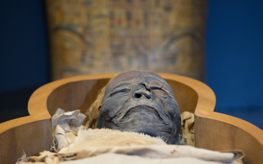 Już starożytni Egipcjanie chcieli ożywić człowieka