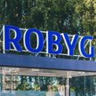 Rusza oferta publiczna akcji Robyga. Poznaliśmy wartość i harmonogram IPO