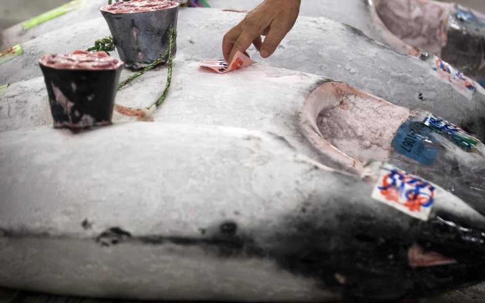 Ostatni aukcja tuńczyka na starym rynku rybnym Tsukiji w Tokio