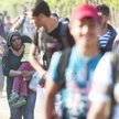 Migranci przechodzą przez granicę między Grecją i Macedonią w miejscowości Gewgelija, 27 sierpnia