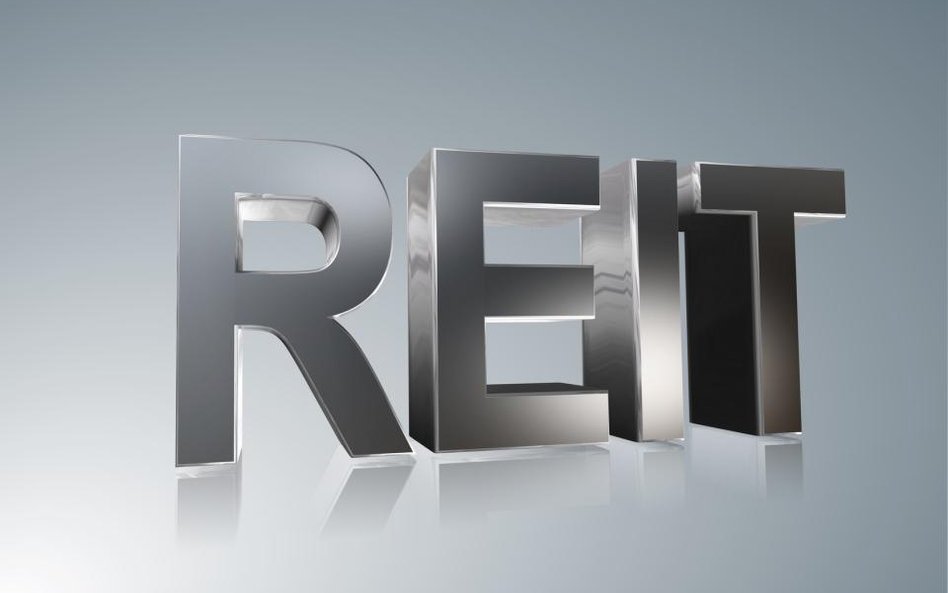 PHN chce utworzyć REIT