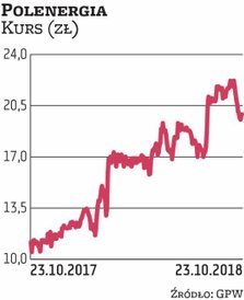 Wzywającemu (Dominice Kulczyk) udało się kupić tylko 655 tys. akcji Polenergii, czyli ułamek planowa