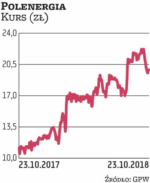 Wzywającemu (Dominice Kulczyk) udało się kupić tylko 655 tys. akcji Polenergii, czyli ułamek planowa