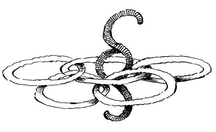 Arbitraż podczas olimpiady