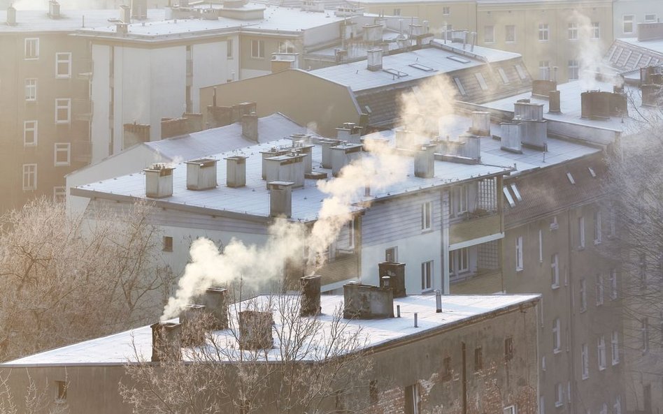 ekologia | Planowanie przestrzenne to jedna z głównych broni, które mogą wykorzystać samorządy, dost