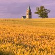 Koniec z przekazywaniem Kościołowi gruntów? Eksperci mają wątpliwości co do planów posłów