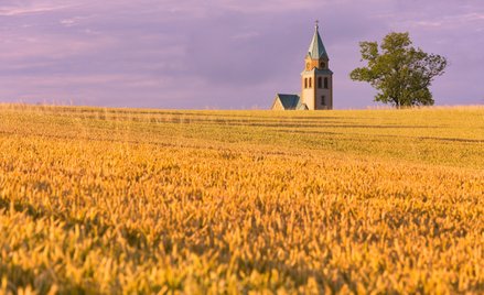 Koniec z przekazywaniem Kościołowi gruntów? Eksperci mają wątpliwości co do planów posłów