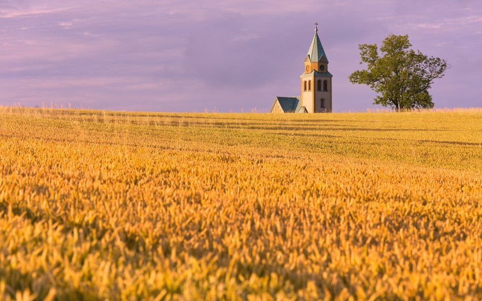 Koniec z przekazywaniem Kościołowi gruntów? Eksperci mają wątpliwości co do planów posłów