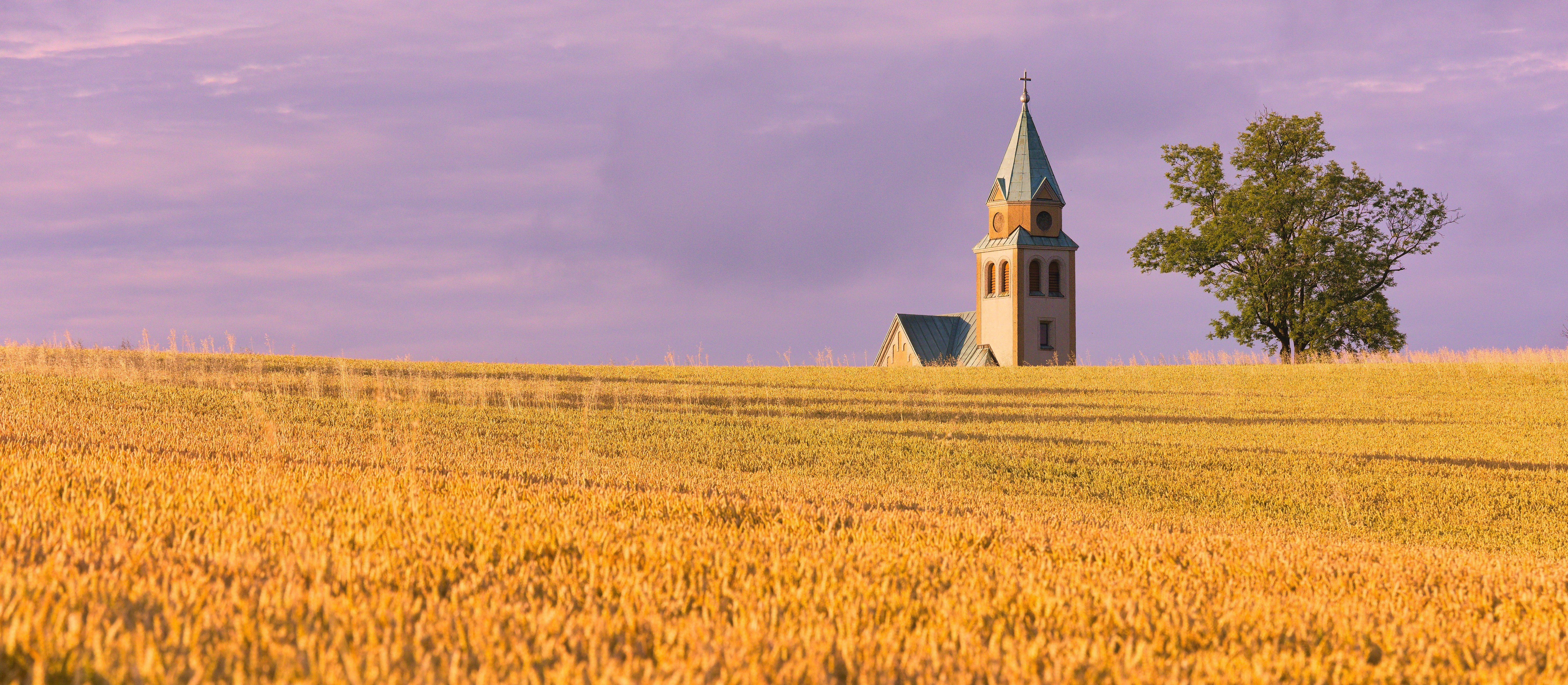 Koniec z przekazywaniem Kościołowi gruntów? Eksperci mają wątpliwości co do planów posłów