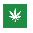 5 tys. mieszkańców, 15 tys. głosów. Efekt? Flaga z marihuaną