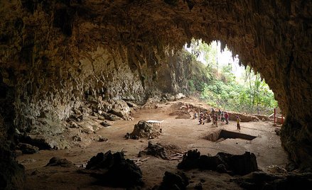 Skarby z piwnicy hobbitów
