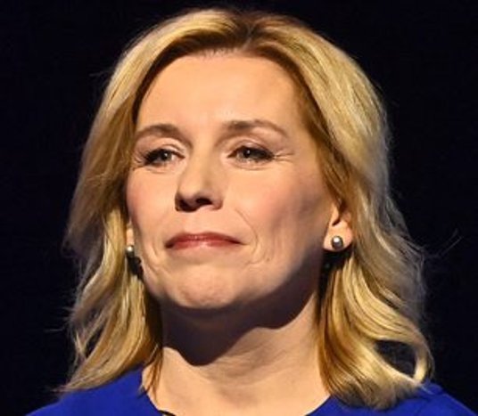 Danuše Nerudová 21–24,8 proc.