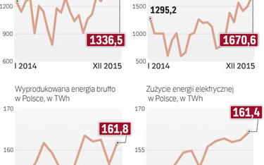 Docelowo zdolności wymiany z Niemcami mają wynosić 500 MW w imporcie i 1500 MW w eksporcie