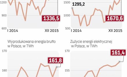 Docelowo zdolności wymiany z Niemcami mają wynosić 500 MW w imporcie i 1500 MW w eksporcie