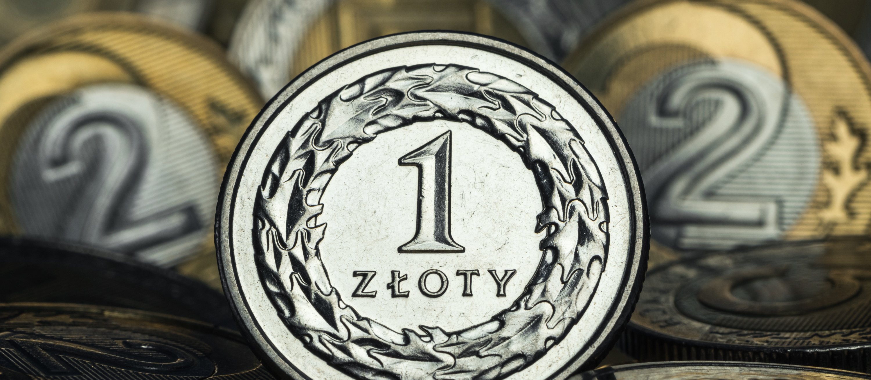 Co ze złotym po decyzji RPP?