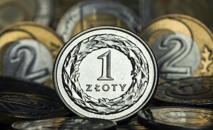 Złotego czeka spokojna przyszłość, choć presja będzie narastać