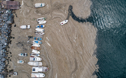 "Plaga śluzu" na Morzu Marmara. Turcja zapowiada działanie