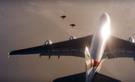Na skrzydłach obok największego Airbusa