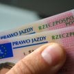 Kierowców czeka wymiana bezterminowego prawa jazdy. Jest termin