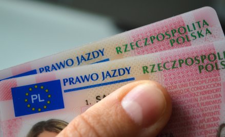 Kierowców czeka wymiana bezterminowego prawa jazdy. Jest termin