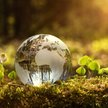 Stężenie gazów cieplarnianych w atmosferze rośnie szybciej, niż wynosi średnia roczna z ostatniej de