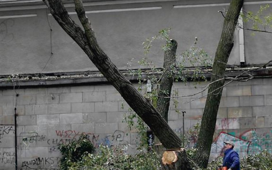 Nie będzie już wymagane zezwolenie na usuwanie m.in.: krzewów z ogrodów przydomowych, drzew i krzewó