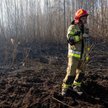 Koniec działań gaśniczych w Biebrzańskim Parku Narodowym