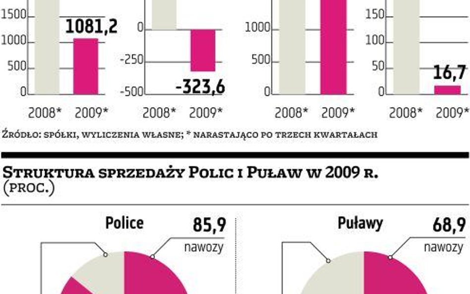 Partnerstwo Polic i Puław – reaktywacja