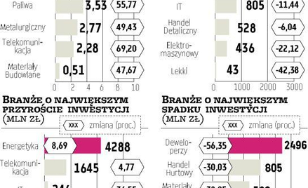 Ma­ło in­we­sty­cji, spo­ro go­tów­ki