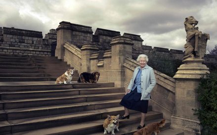 Królowa Elżbieta z ukochanymi psami w obiektywie Annie Leibovitz.