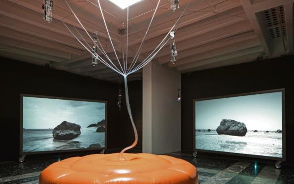 Pawilon Japoński „Cosmo Eggs”