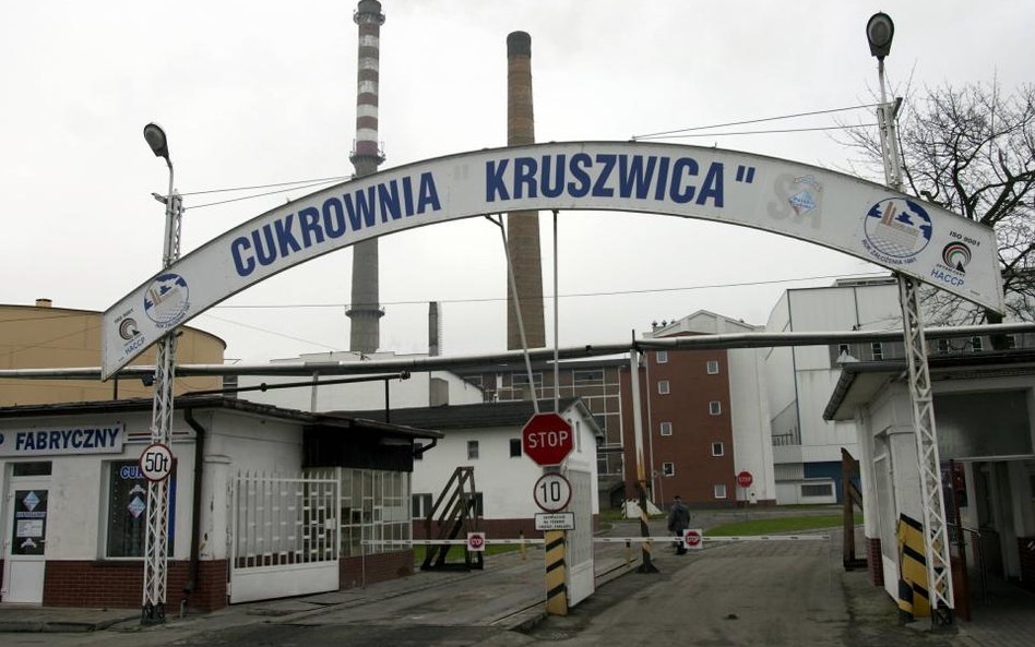 Plantatorzy chcą poznać wartość KSC