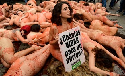 Barcelona: Nagi protest przeciwko futrom