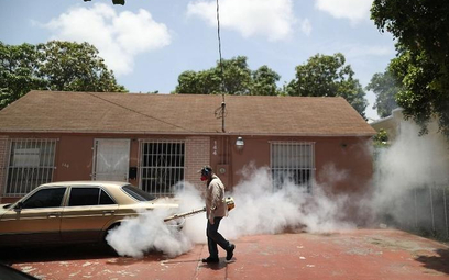 Więcej przypadków wirusa Zika na Florydzie
