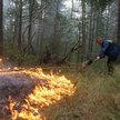 W Rosji płonie pół miliona hektarów lasów