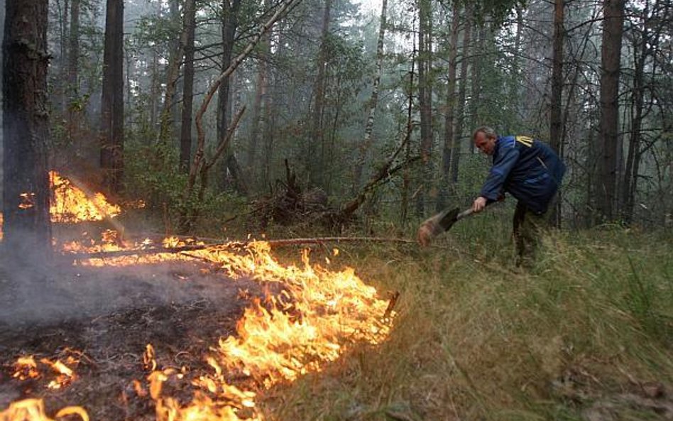 W Rosji płonie pół miliona hektarów lasów