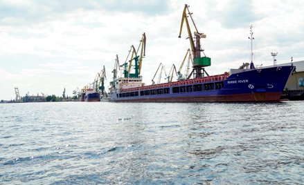 Zboże zastygło w oczekiwaniu na wolne porty i zbiory