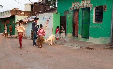 Indie: Czterolatek złożony w ofierze bogini