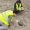 Dwa fragmenty kości należące najprawdopodoniej do mamutów odnaleziono w Łabuniach (Lubelskie). Na zd